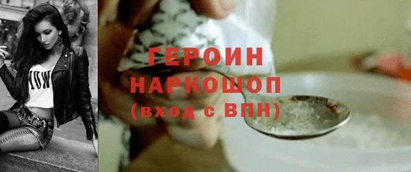 гидра Заводоуковск