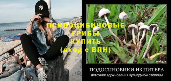 СК Заволжск