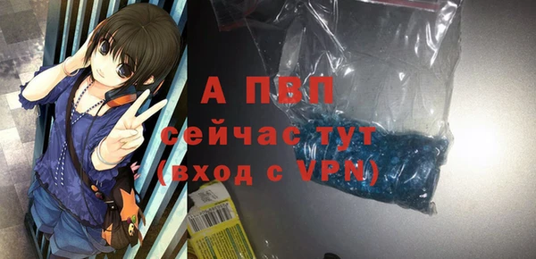гидра Заводоуковск