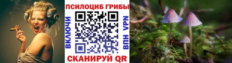 Псилоцибиновые грибы мицелий  Плавск 